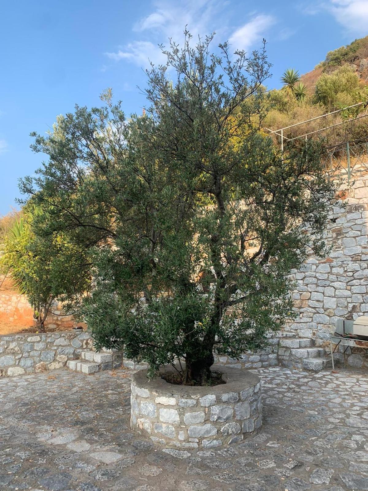 אפרטהוטל Néon Oítilon Vatoulia House מראה חיצוני תמונה