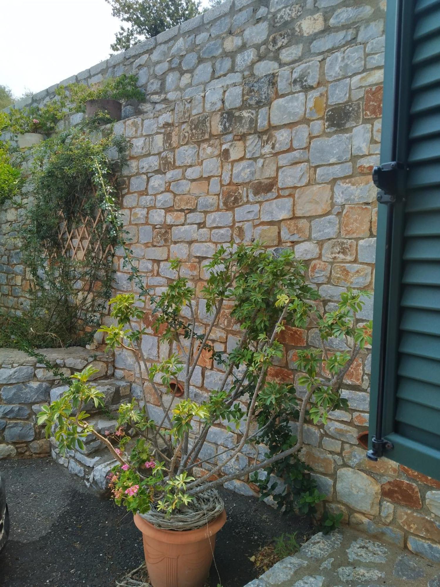 אפרטהוטל Néon Oítilon Vatoulia House מראה חיצוני תמונה